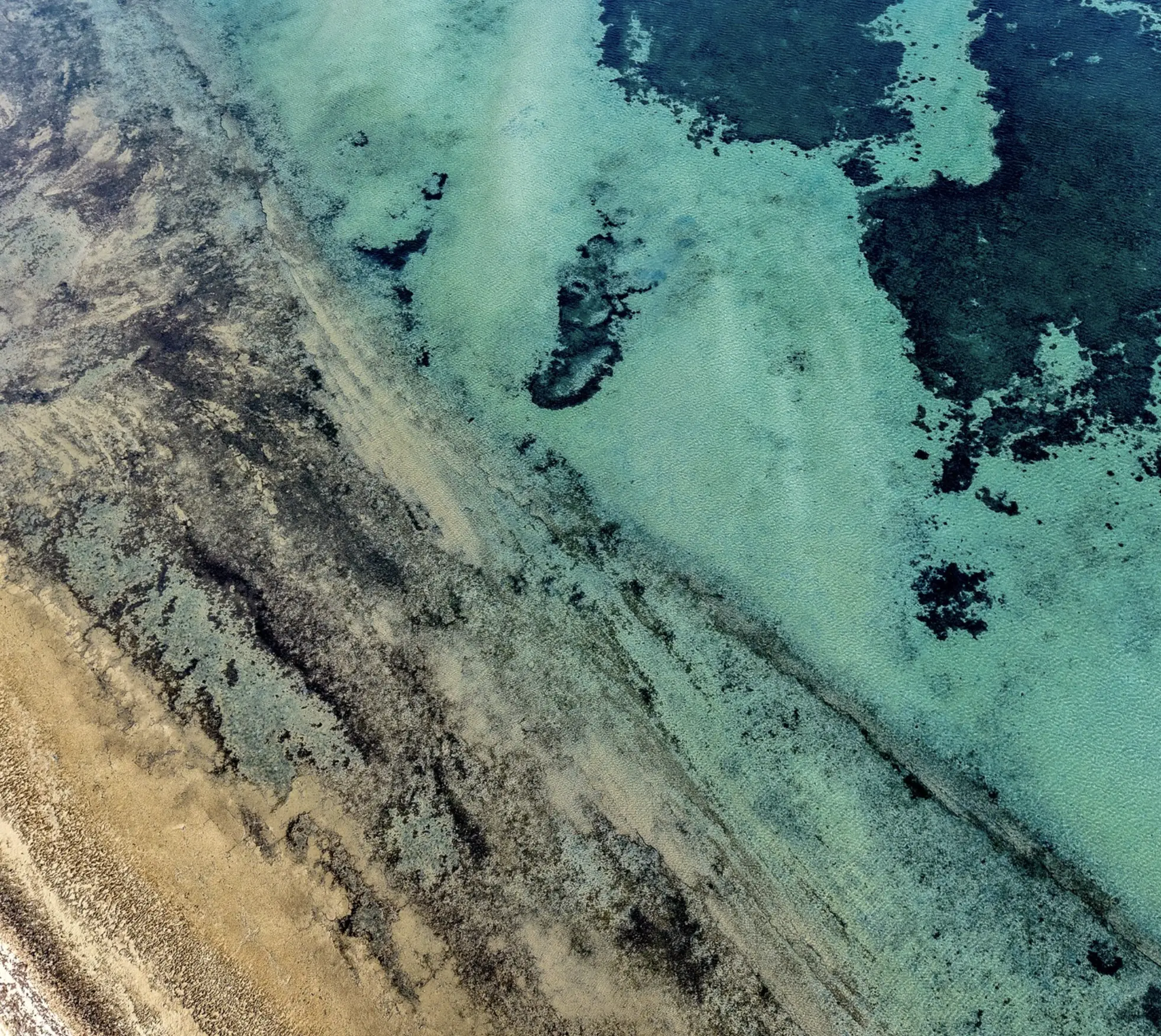 Denham Shark Bay