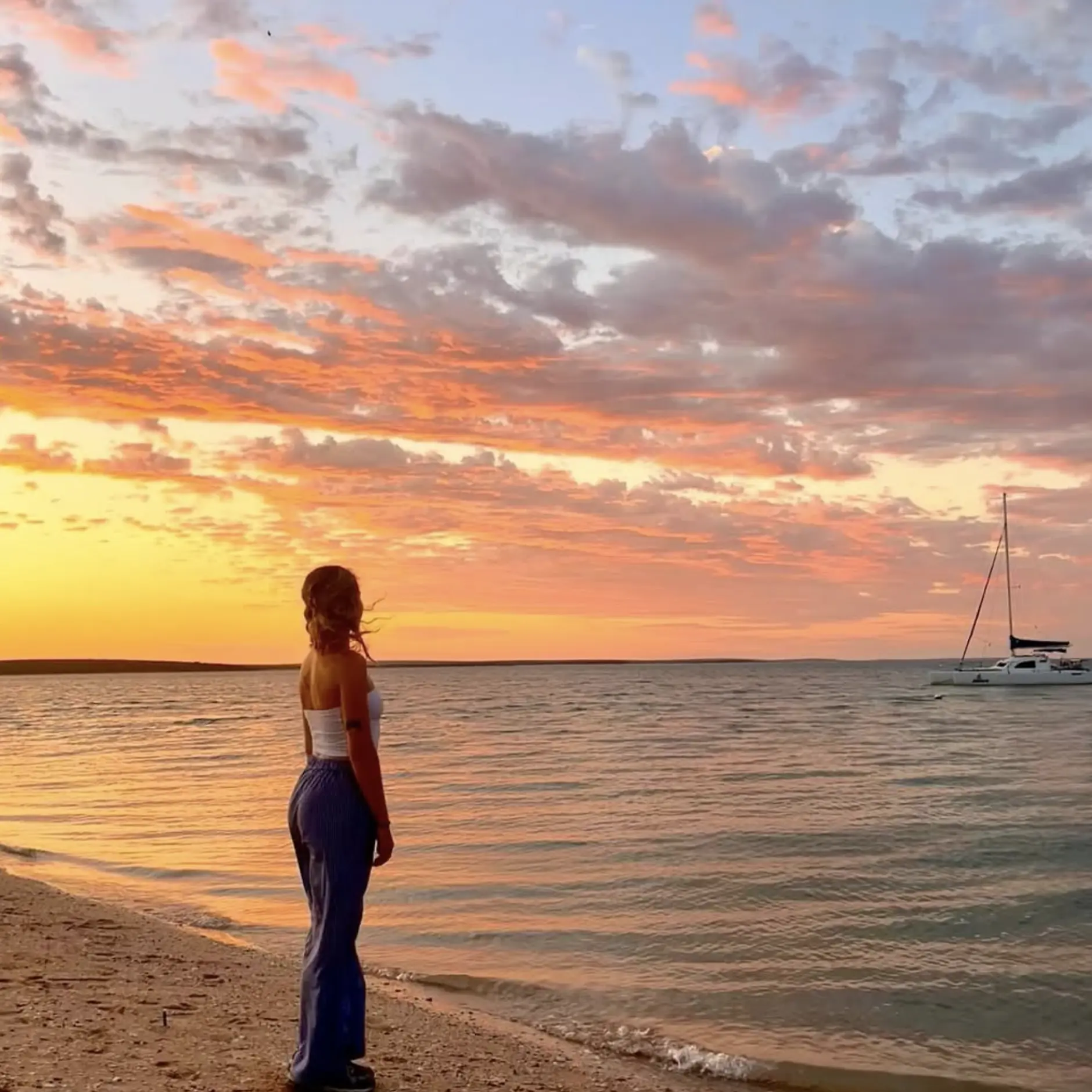 Shark Bay Beaches