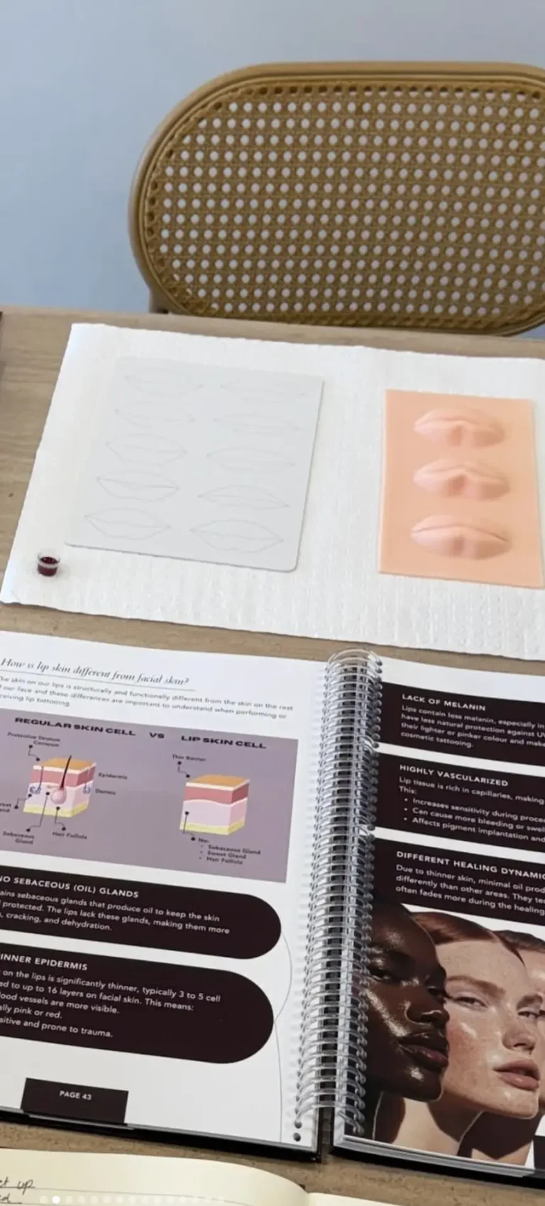Can You Learn Cosmetic Tattooing Online?